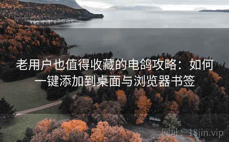 老用户也值得收藏的电鸽攻略：如何一键添加到桌面与浏览器书签