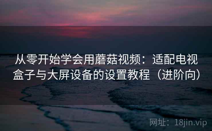 从零开始学会用蘑菇视频：适配电视盒子与大屏设备的设置教程（进阶向）