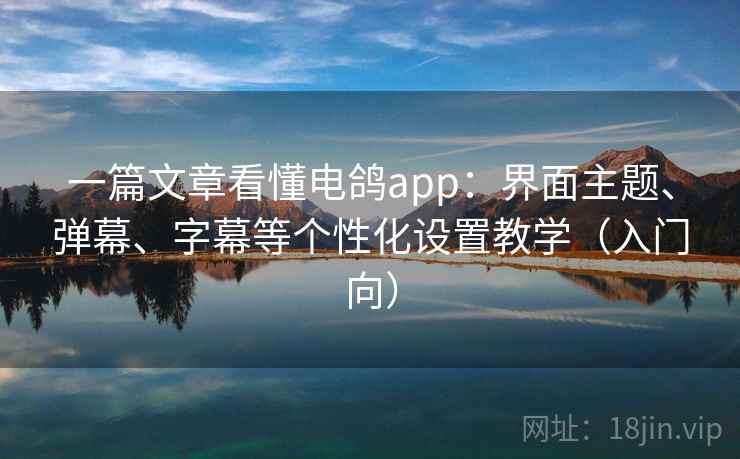 一篇文章看懂电鸽app:界面主题、弹幕、字幕等个性化设置教学(入门向) 一篇文章看懂电鸽app:界面主题、弹幕、字幕等个性化设置教学(入门向)