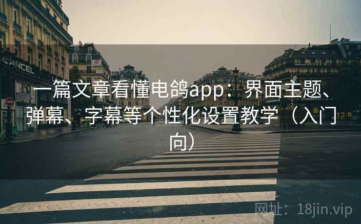 一篇文章看懂电鸽app:界面主题、弹幕、字幕等个性化设置教学(入门向) 一篇文章看懂电鸽app:界面主题、弹幕、字幕等个性化设置教学(入门向)