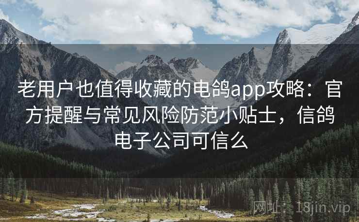老用户也值得收藏的电鸽app攻略：官方提醒与常见风险防范小贴士，信鸽电子公司可信么