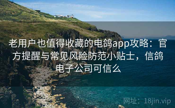 老用户也值得收藏的电鸽app攻略：官方提醒与常见风险防范小贴士，信鸽电子公司可信么