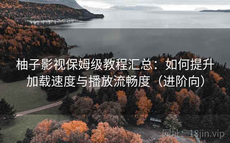 柚子影视保姆级教程汇总：如何提升加载速度与播放流畅度（进阶向）