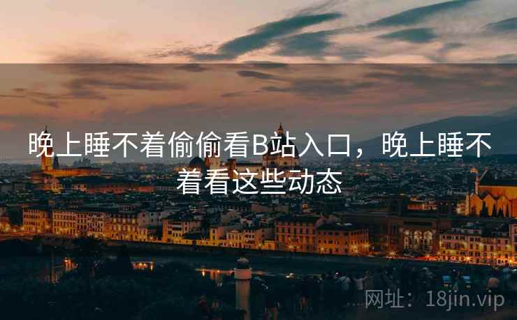 晚上睡不着偷偷看B站入口，晚上睡不着看这些动态