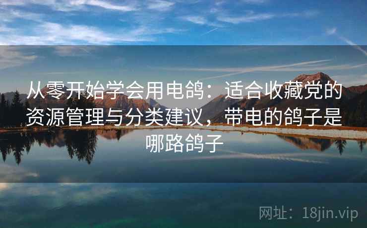 从零开始学会用电鸽：适合收藏党的资源管理与分类建议，带电的鸽子是哪路鸽子