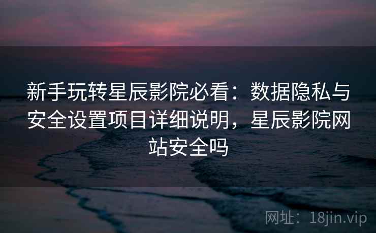 新手玩转星辰影院必看：数据隐私与安全设置项目详细说明，星辰影院网站安全吗