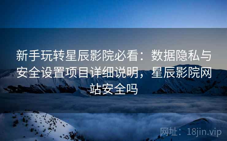 新手玩转星辰影院必看：数据隐私与安全设置项目详细说明，星辰影院网站安全吗