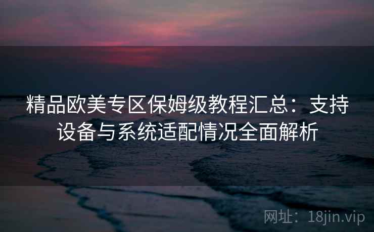 精品欧美专区保姆级教程汇总：支持设备与系统适配情况全面解析