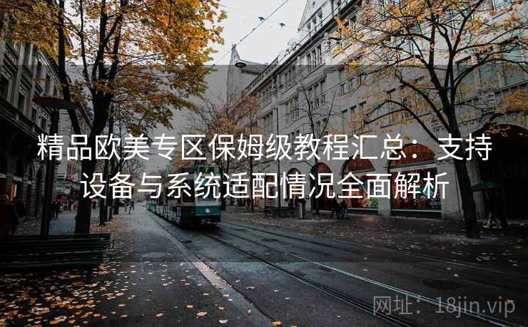 精品欧美专区保姆级教程汇总：支持设备与系统适配情况全面解析