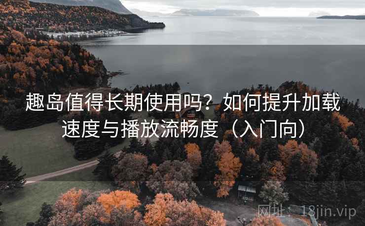 趣岛值得长期使用吗？如何提升加载速度与播放流畅度（入门向）