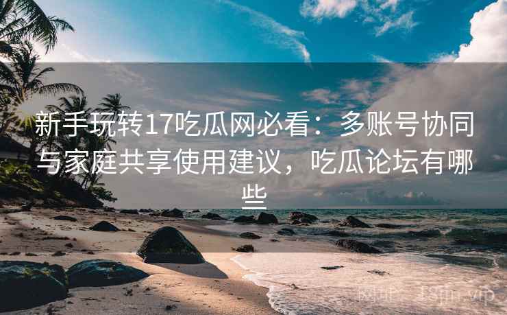 新手玩转17吃瓜网必看：多账号协同与家庭共享使用建议，吃瓜论坛有哪些