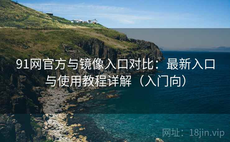 91网官方与镜像入口对比：最新入口与使用教程详解（入门向）