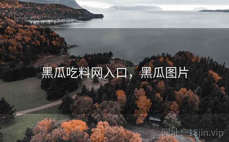 黑瓜吃料网入口，黑瓜图片