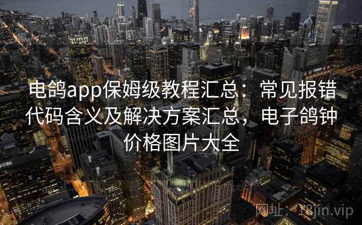 电鸽app保姆级教程汇总：常见报错代码含义及解决方案汇总，电子鸽钟价格图片大全